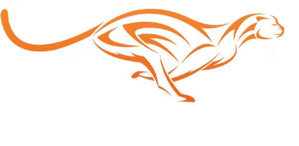 Studio Engine